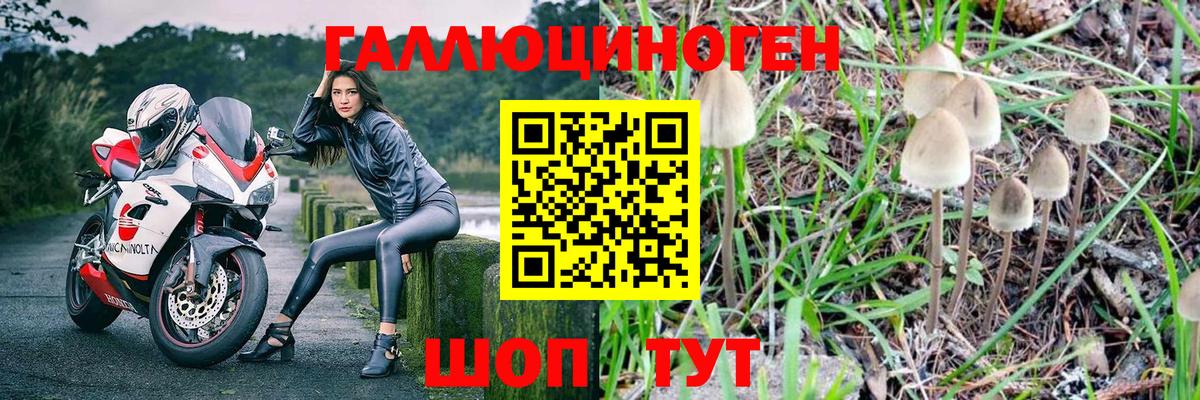 Псилоцибиновые грибы MAGIC MUSHROOMS  Вход с VPN  Кузнецк 