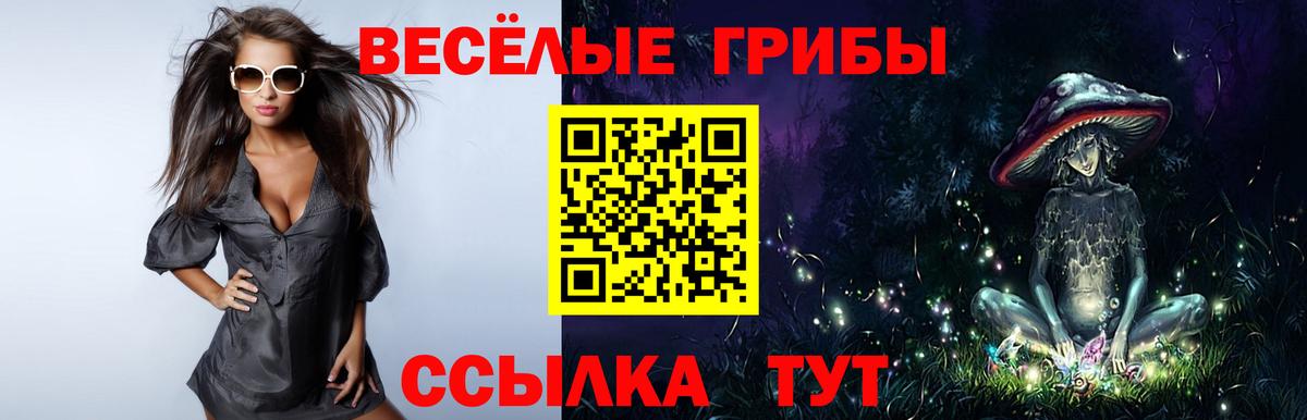 Псилоцибиновые грибы Magic Shrooms Кузнецк